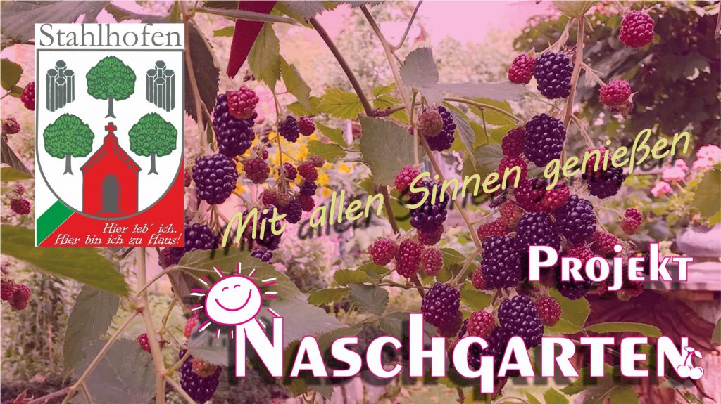 Projektgruppe Naschgarten Stahlhofen